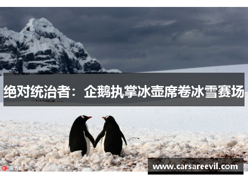 绝对统治者：企鹅执掌冰壶席卷冰雪赛场
