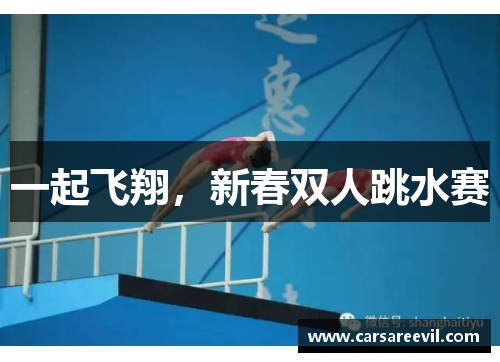 一起飞翔，新春双人跳水赛